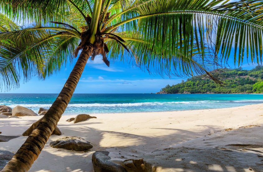 Paradise Beach, Barbados , Barbados